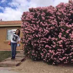 Meet your Posher, Mindy